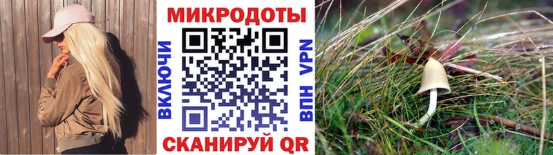как найти закладки Верхотурье Галлюциногенные грибы мухоморы
